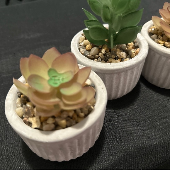 Rustic Planters w/ Succulents (Set of 4) - Picture 2 of 6